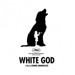 Kinek az Istene? - Jegyzetek Mundruczó Kornél Fehér isten című filmjéhez.
